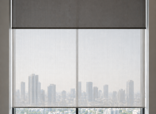 Dual Roller Shades No People