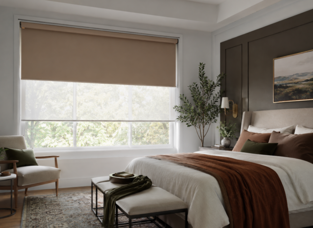 Premium dual roller shades for modern home interiors