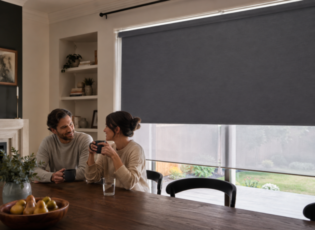 Custom dual roller shades with sheer and blackout fabrics in a modern living room