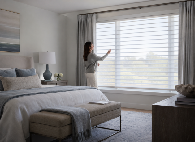 Elegant Shangri-La window shades with soft light filtering